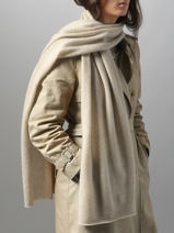 charpe Cachemire Vercors Etrier Beige vercors EVER427U-vue-porte