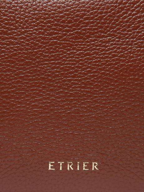 Sac Bandoulière Tradition Cuir Etrier Marron tradition ETRA141S vue secondaire 5